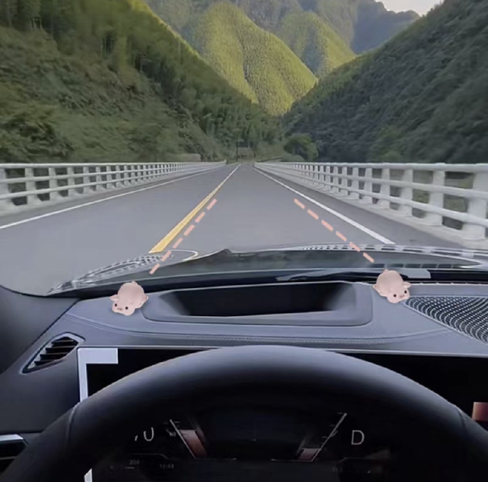 新手学车，必备心得与技巧!